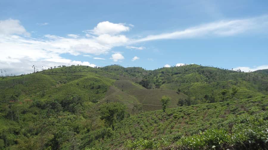 Cianjur: Full-Day Historical Tour of Gunung Padang and Falls - Sundanese Lunch Included, Plus How Guides Handle Real-World Changes