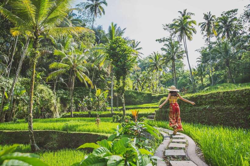 Cretya Ubud, Rice Terrace, Temple & Waterfall Day Tour - Guides Who Keep It Smooth: Pak Bawa and Komang Style