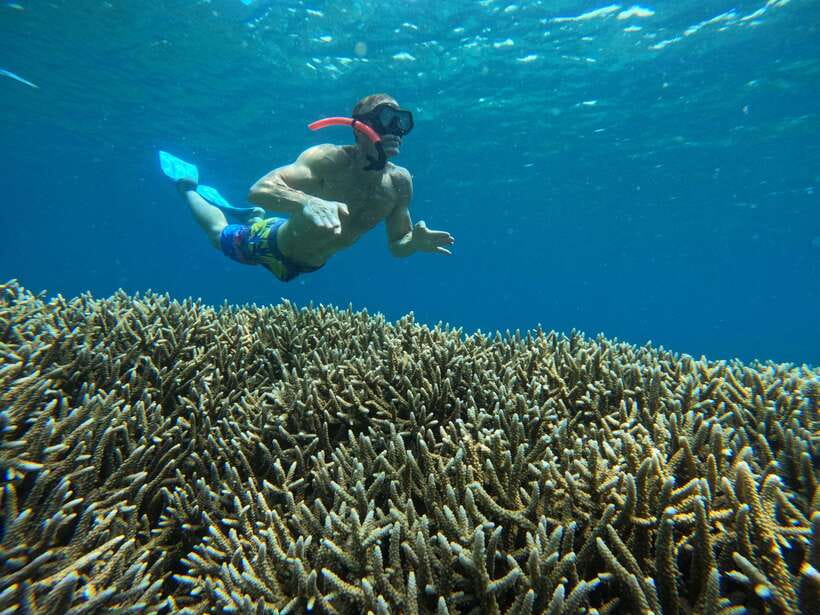 Day Trip 3 Secret Gilis in West South Of Lombok - Gili Kedis: the short walk, the quiet beach, and the “honeymoon” vibe