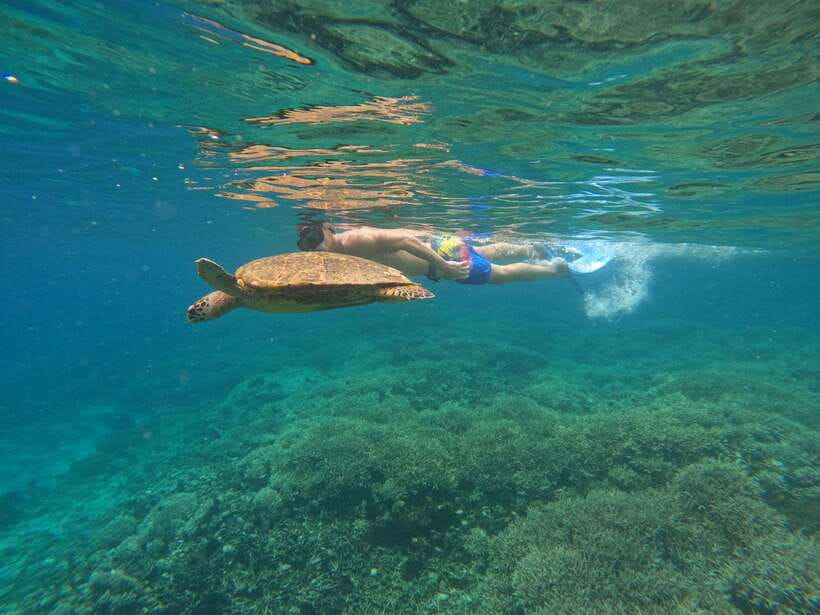 Day Trip 3 Secret Gilis in West South Of Lombok - Tips that help you enjoy every stop