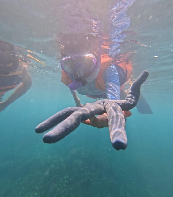 Day Trip 5 Secret Giilis in West South of Lombok - Price and value: what $86 is really buying
