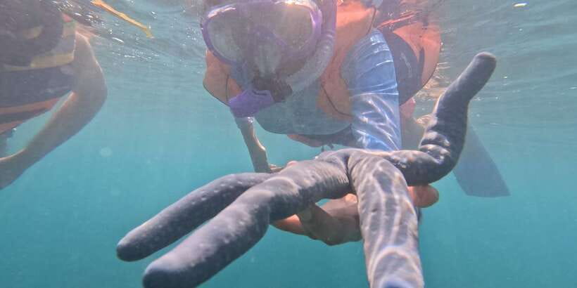 Day Trip 5 Secret Giilis in West South of Lombok - Gili Tangkong: lunch in sandals, then more swim time