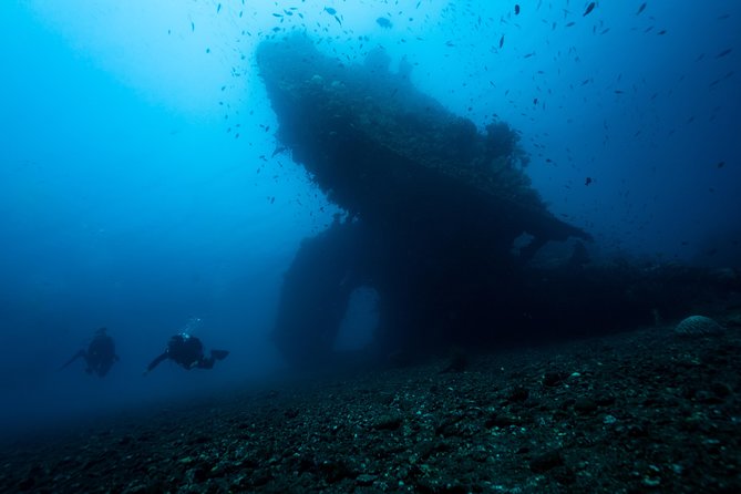 Day Trip certified divers - 3 Dives in Tulamben (pick-up & drop-off included) - Why the USS Liberty Wreck Pulls You In