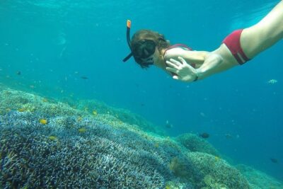 Day Trip Gili Trawangan, Gili Meno, Gili Air (Depart Lombok)