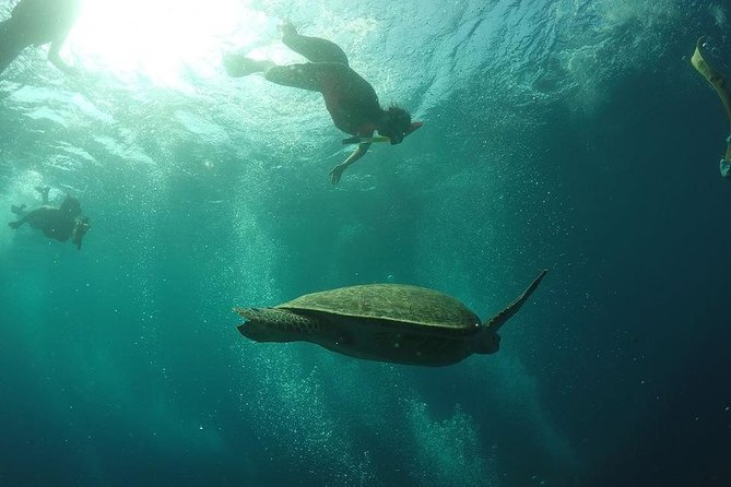 Day Trip Gili Trawangan, Gili Meno, Gili Air (Depart Lombok) - The guides and crews: where the day feels personal