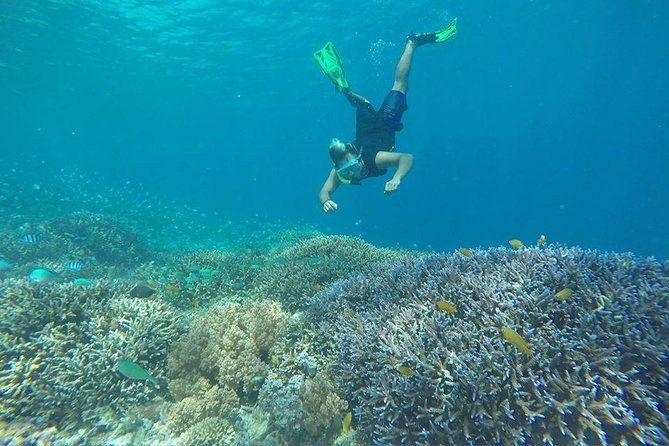 Day Trip Gili Trawangan, Gili Meno, Gili Air (Depart Lombok) - Price and value: what $97 covers, plus the extras