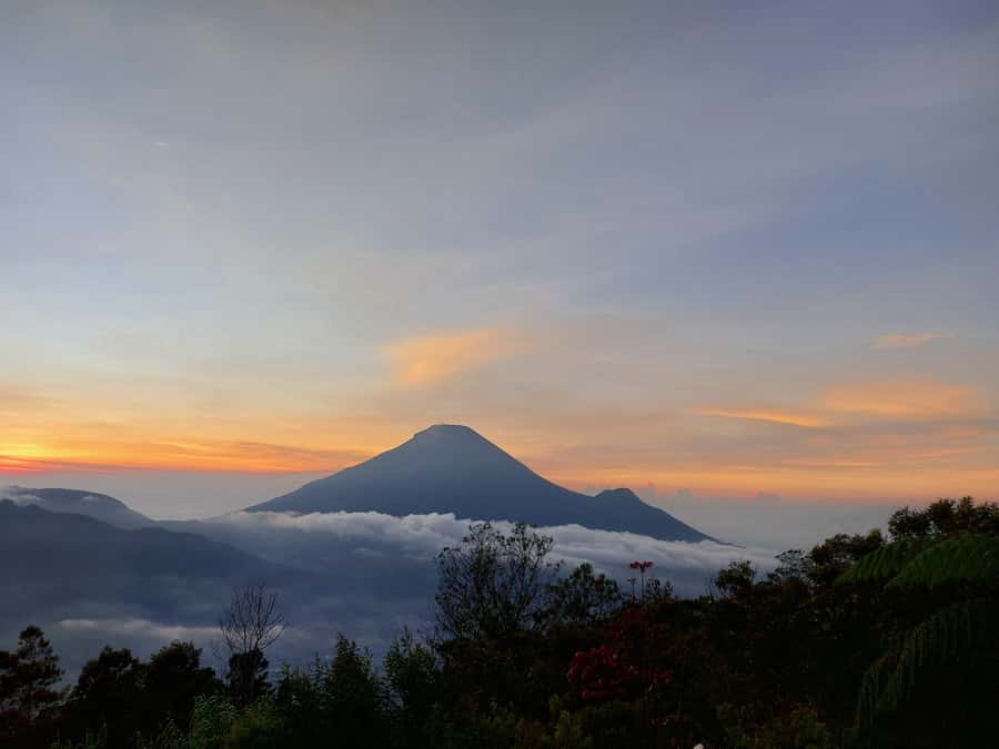Dieng Plateau Sikunir Golden sunrise trip with guide - Sikunir Hill sunrise: the hike, the wait, and the view math
