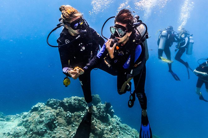 Discover Scuba Diving in Pemuteran - Diving Initiation in Bali (Menjangan Park) - The Half-Day Schedule, From Shore Practice to Menjangan Sessions