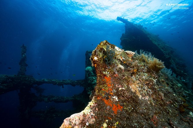 Discover Scuba Diving in Tulamben - Diving Initiation in Bali best diving sites - Who should book this and who should think twice