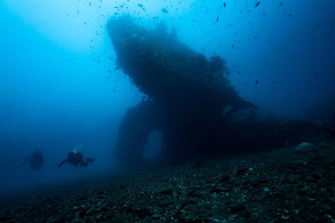 Discover Scuba Diving in Tulamben - Diving Initiation in Bali best diving sites - Coral Garden: your practice in an enormous aquarium