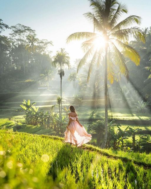 Discover Ubud: Tailored Private Tour with Top Highlight - Key things I’d plan for before you go
