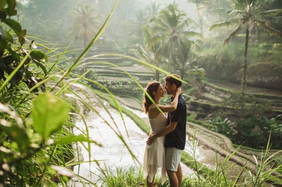 Discover Ubud: Tailored Private Tour with Top Highlight - Monkey Forest sanctuary, with guided context and time to wander
