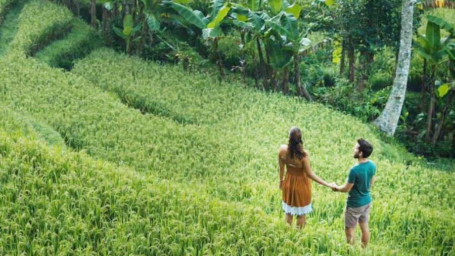 Discover Ubud: Tailored Private Tour with Top Highlight - Tegalalang rice terraces and swing time for the photo people