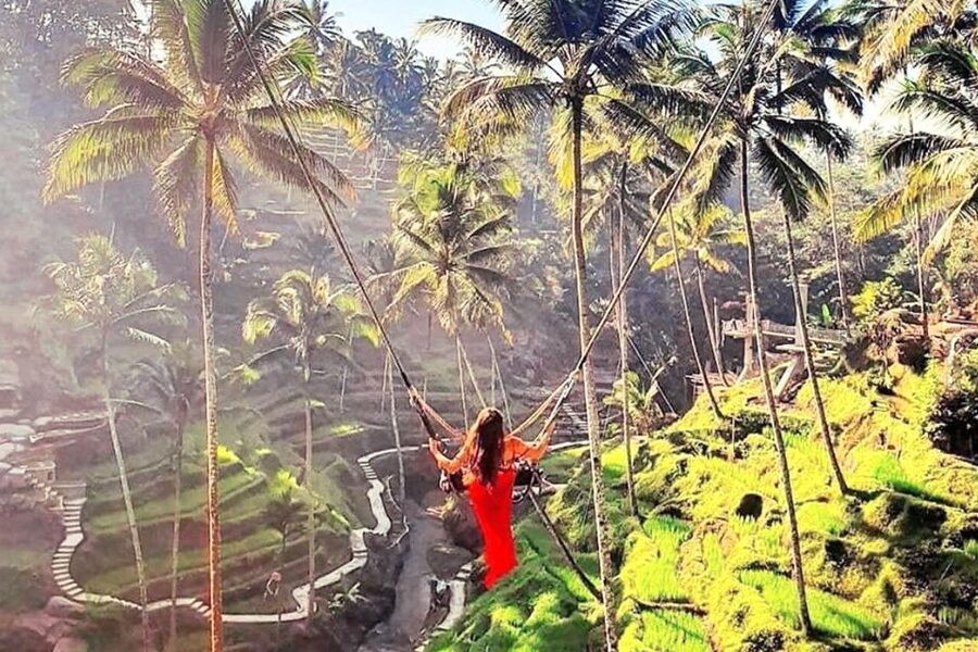 Discover Ubud: Tailored Private Tour with Top Highlight - How the pickup, driver, and private transport actually help