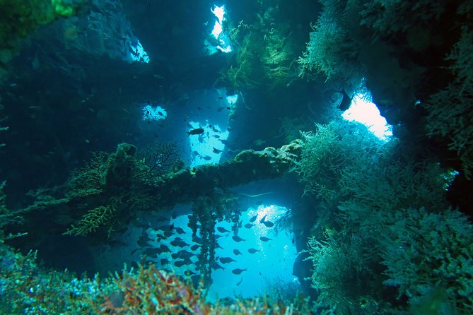 Diving in Tulamben - The lunchtime reset at the beach-side restaurant