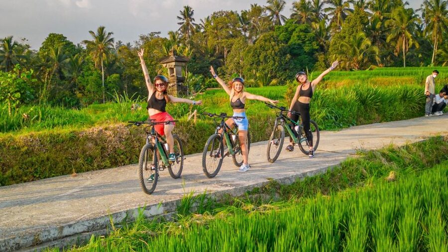 E-Bike: Ubud Rice Terraces & Traditional Villages Cycling - Key highlights to know before you go