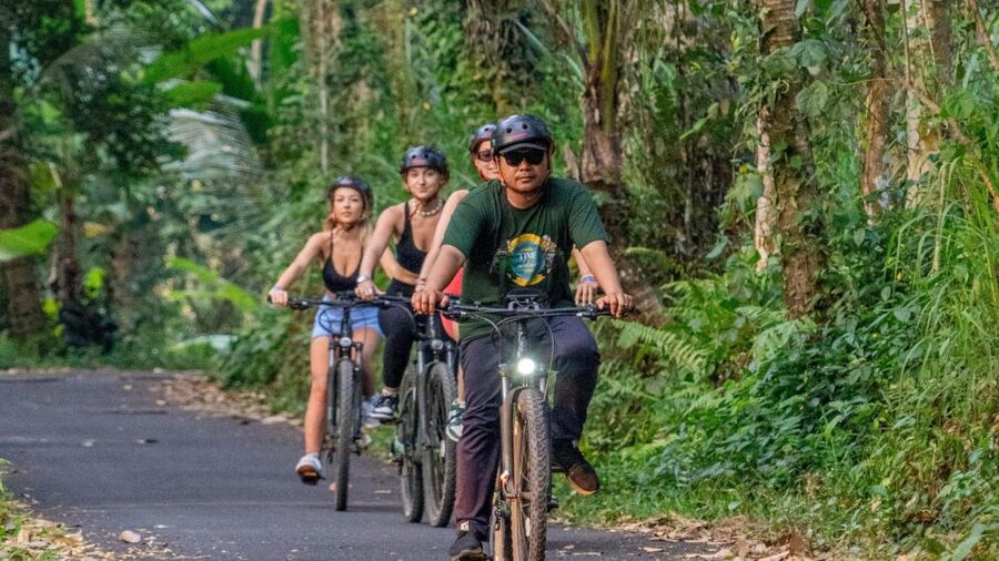 E-Bike: Ubud Rice Terraces & Traditional Villages Cycling - Who this tour suits, and who should skip it