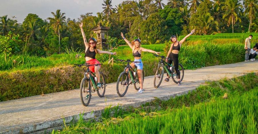 E-Bike: Ubud Rice Terraces & Traditional Villages Cycling - Tegallalang on two wheels: rice terraces, irrigation, and viewpoint time