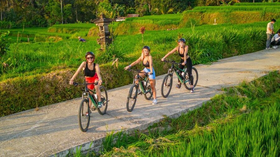 E-Bike: Ubud Rice Terraces & Traditional Villages Cycling - Traditional villages: seeing Balinese daily life at human speed