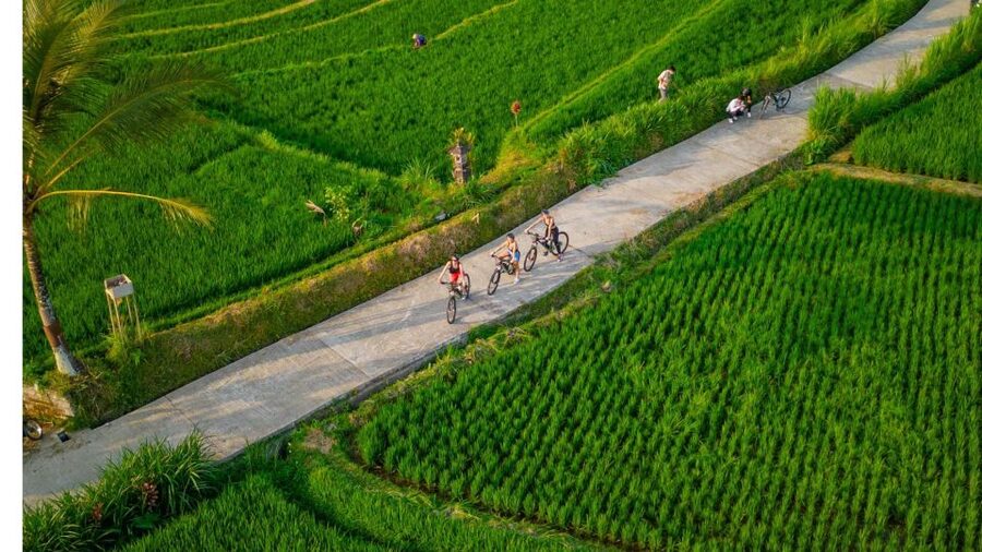 E-Bike: Ubud Rice Terraces & Traditional Villages Cycling - The guide factor: English support and the Harry effect
