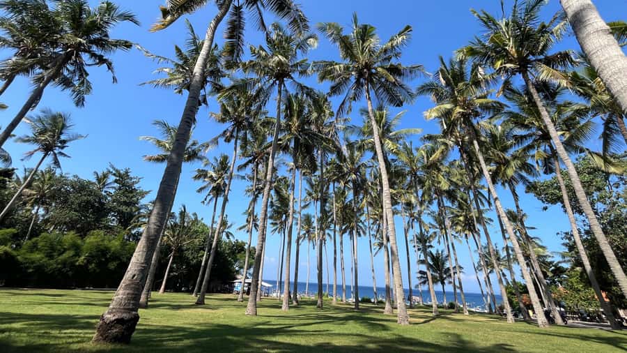 East Bali: Gembleng waterfall, Tenganan and Virgin beach - The Biggest Pros and the One Thing to Watch