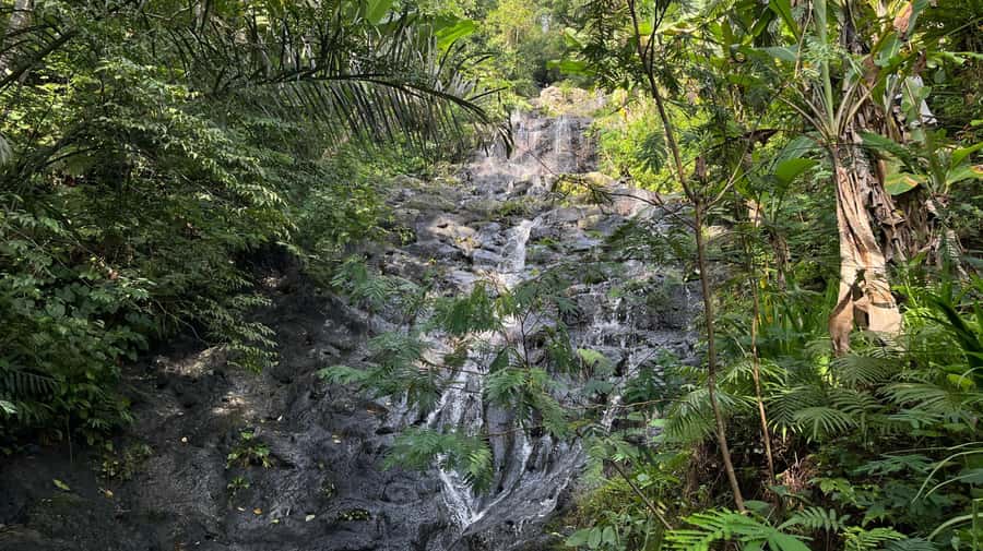 East Bali: Gembleng waterfall, Tenganan and Virgin beach - Tenganan Village: Bali Aga Life and Pegringsingan Culture