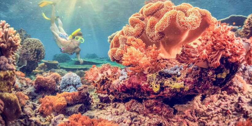 East Bali: Snorkeling Day Trip to Amed - Key Points You Should Know First