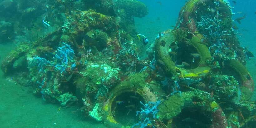 East Bali: Snorkeling Day Trip to Amed - Why Amed Works So Well for Snorkeling