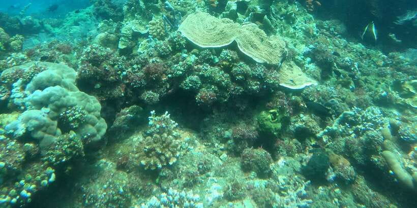 East Bali: Snorkeling Day Trip to Amed - How Small Groups Change Your Experience