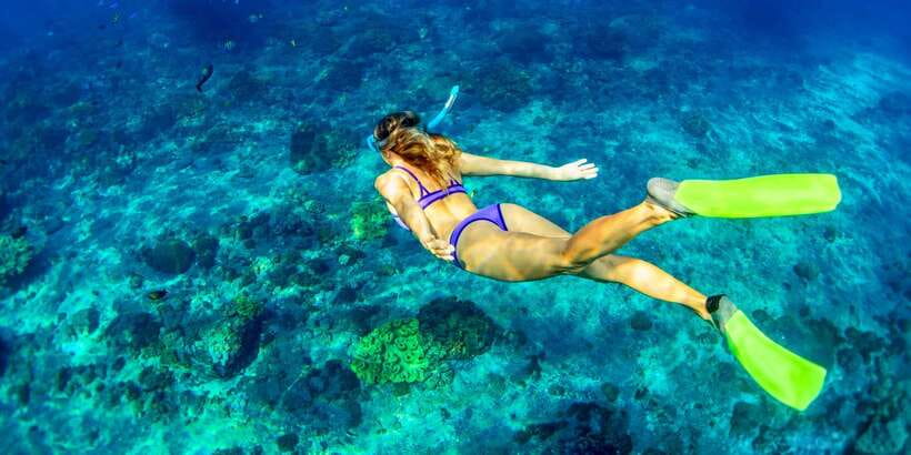 East Bali: Snorkeling Day Trip to Amed - Price and Logistics: Where the $80 Really Goes