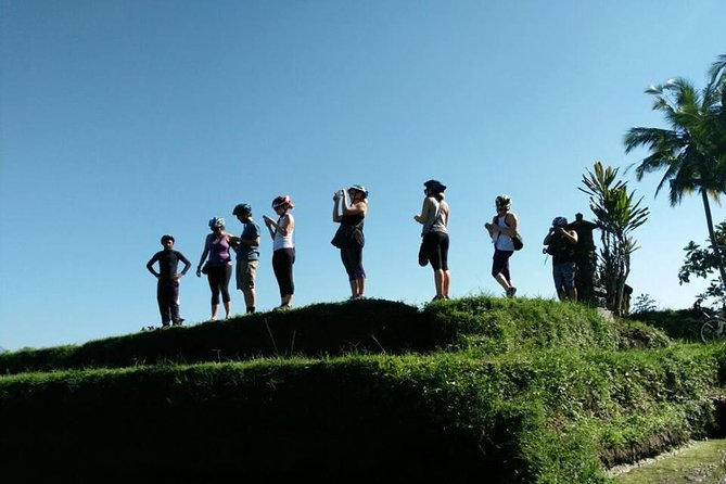Electric Cycling Tour of Ubud with Free Hotel Transfer and Lunch - Jungle swing at a coffee plantation setting