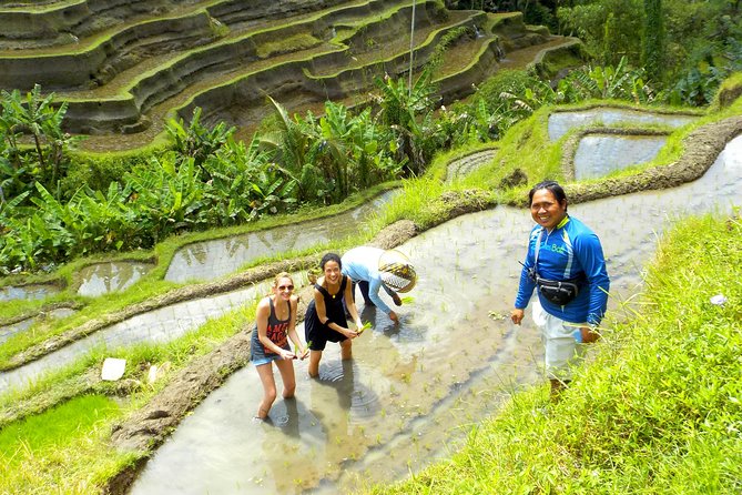 Electric Cycling Tour of Ubud with Free Hotel Transfer and Lunch - The ride on real roads: fun, but you need bike confidence