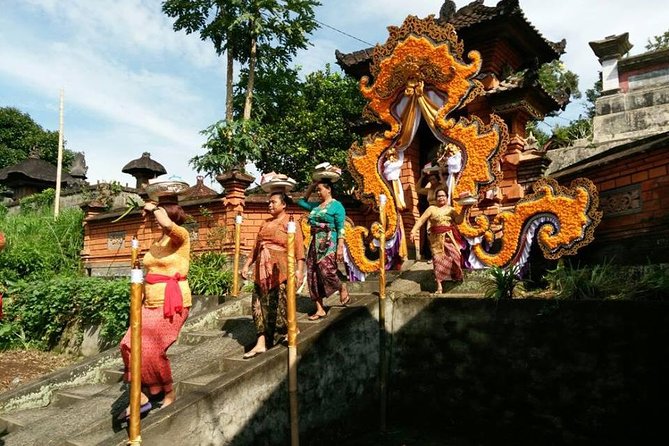 Electric Cycling Tour of Ubud with Free Hotel Transfer and Lunch - Best fit: who will love this Ubud e-bike tour