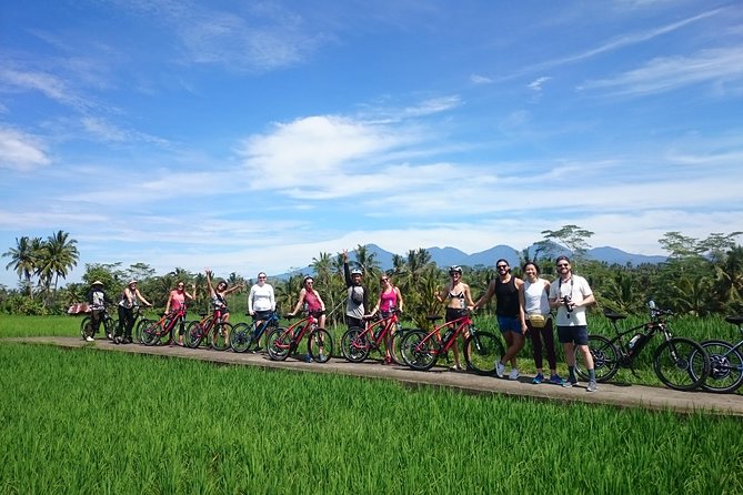 Electric Cycling Tour of Ubud with Free Hotel Transfer and Lunch - Tegalalang Rice Terrace: why the stop works for photos