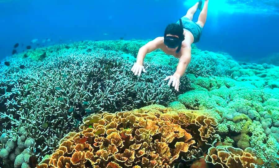 Exclusive 4 Secret Gilis: Petagan, Bidara, Kapal, and Kondo - A 10-hour day that feels gently paced