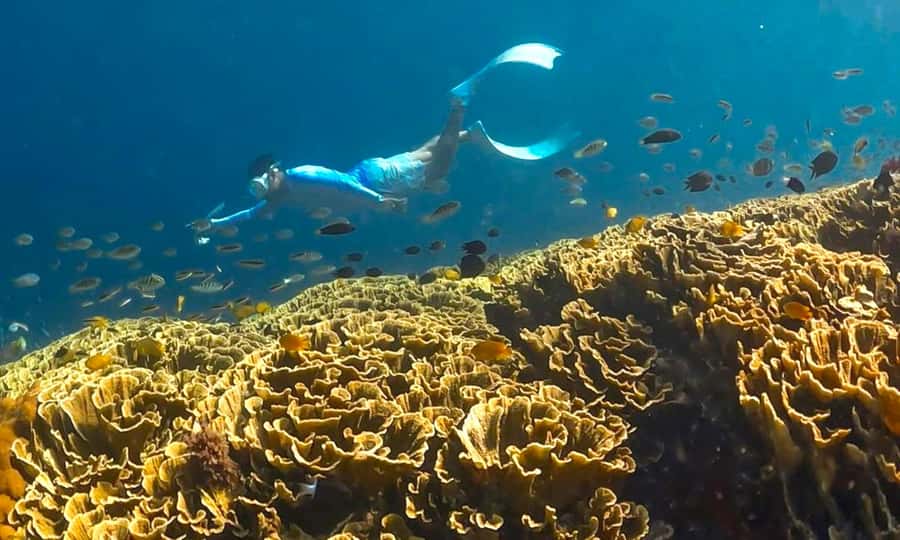 Exclusive 4 Secret Gilis: Petagan, Bidara, Kapal, and Kondo - Gili Petagan mangroves: calm waterways and a real purpose