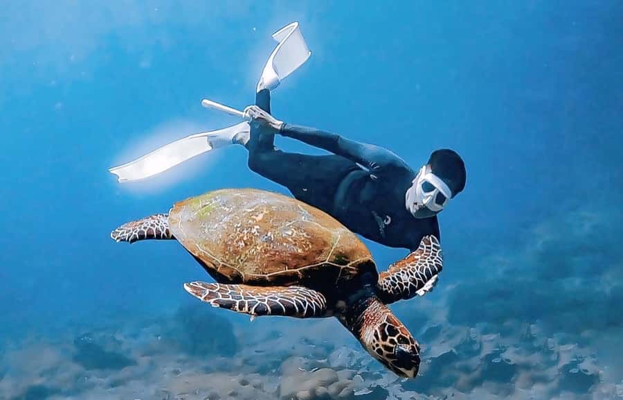 Exclusive 4 Secret Gilis: Petagan, Bidara, Kapal, and Kondo - Gili Bidara snorkeling: coral, clear water, and turtle chances