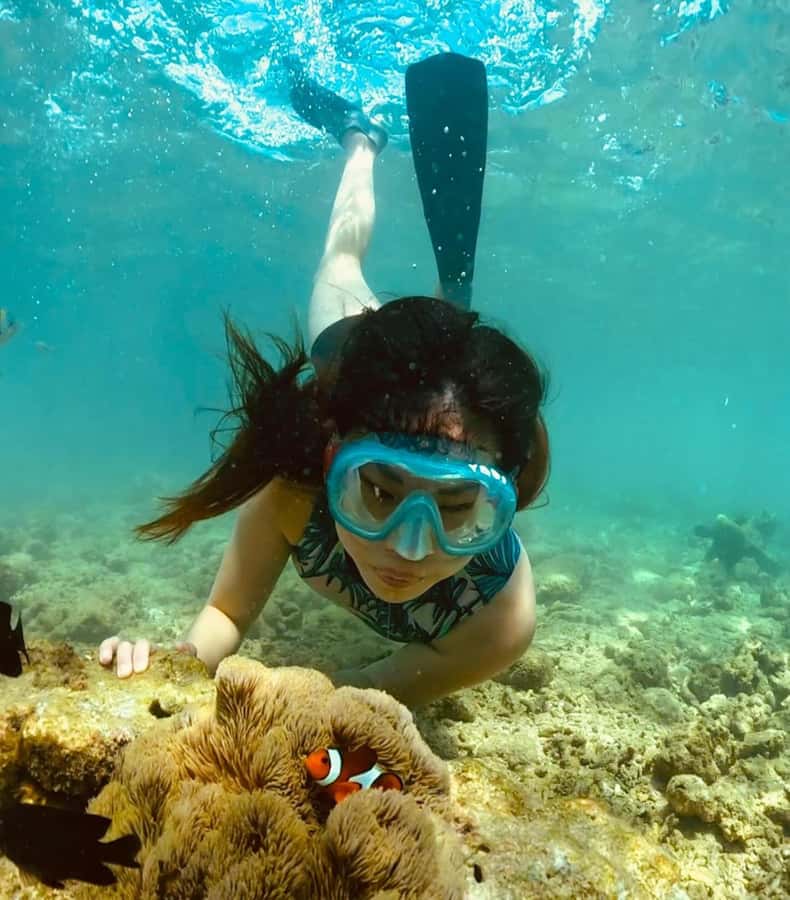 Exclusive Gili Nanggu, Sudak, and Kedis Tour Featuring GoPro - Gili Nanggu snorkeling: coral time plus GoPro underwater footage