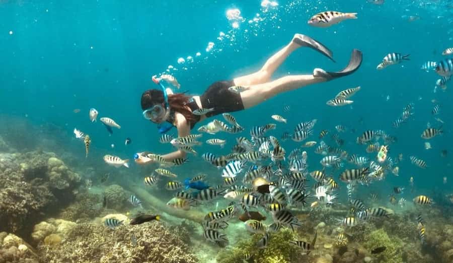 Exclusive Gili Nanggu, Sudak, and Kedis Tour Featuring GoPro - Gili Kedis (Bedis): quiet beach time, starfish spotting, and a short snorkeling window