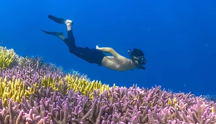 Exclusive Gili Nanggu, Sudak, and Kedis Tour Featuring GoPro - GoPro on this tour: why the included camera matters