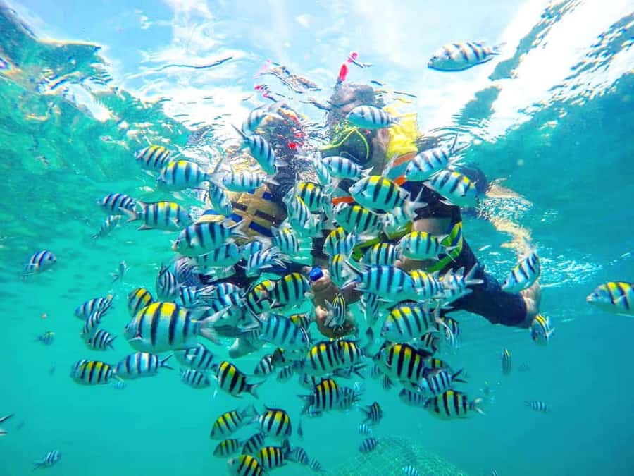 Exclusive Gili Nanggu, Sudak, and Kedis Tour Featuring GoPro - Getting there: private pickup, harbor transfer, and island hopping