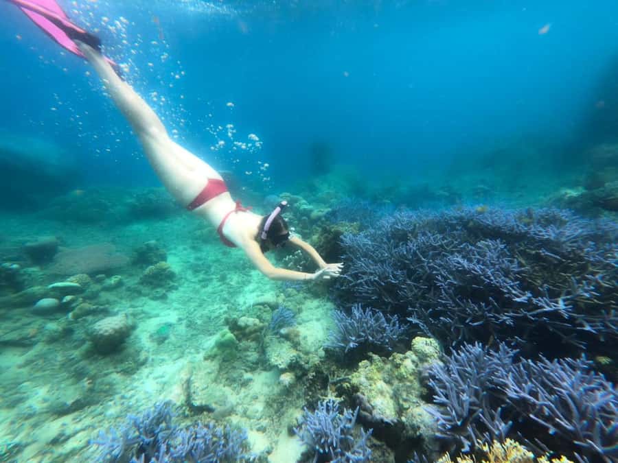 Exclusive Lombok Fishing & Snorkeling Tour Across 4 Gilis - Gili Layar snorkeling for coral and fish