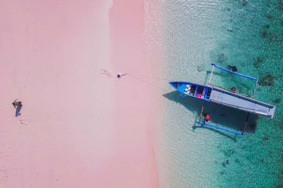 Exclusive One-Day Tour to Lombok's Pink Beach and 3 Gilis - Pink Beach 3 and the pink-sand reality check