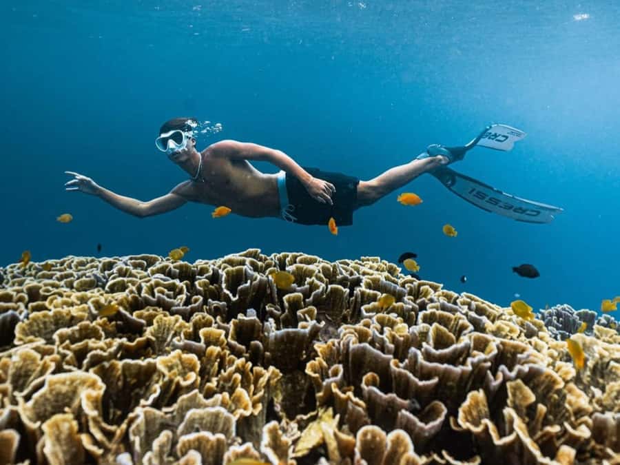 Exclusive One-Day Tour to Lombok's Pink Beach and 3 Gilis - Snorkeling at Gili Petelu and Gili Gambir: what to focus on