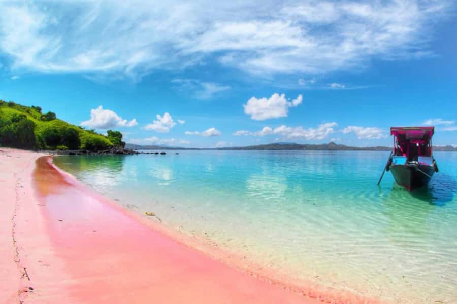 Exclusive Private Pink Beach with Snorkeling Tour - Key Highlights You’ll Actually Care About