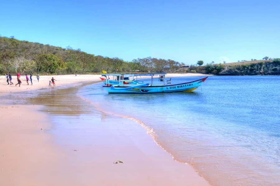 Exclusive Private Pink Beach with Snorkeling Tour - Gili Gambir: Photo Break and Guided Snorkeling Session