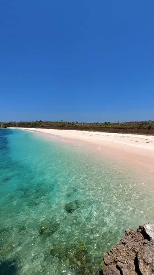 Exclusive Private Pink Beach with Snorkeling Tour - Who Should Book This Tour, and Who Might Want a Different Plan