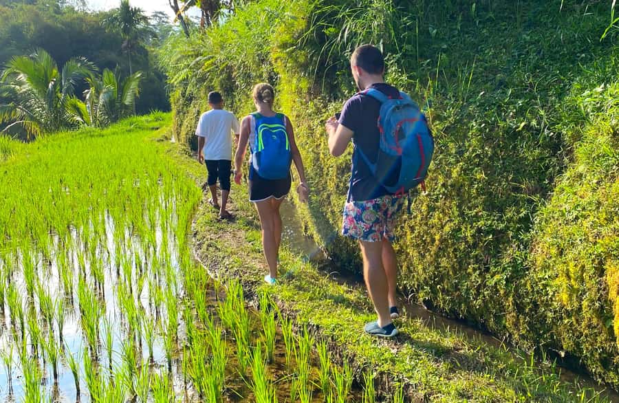 Exclusive Tetebatu: Waterfall, Rice Fields, Monkey & Weaving - Private Pickup and the Real Pace of an 8-Hour Day