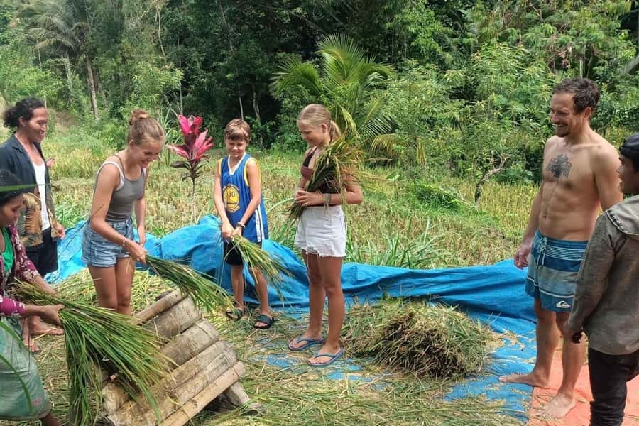 Exclusive Tetebatu: Waterfall, Rice Fields, Monkey & Weaving - What to Bring, What to Avoid, and Who This Fits Best