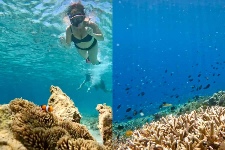 Explore Hidden Gili's Lombok : Gili Asahan,Gede,Goleng,Layar - Guides, GoPro Underwater Photos, and How to Get Better Results